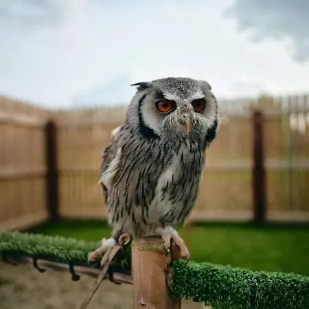 Lyrath Estate 5* Kilkenny