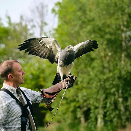 Lyrath Estate Kilkenny