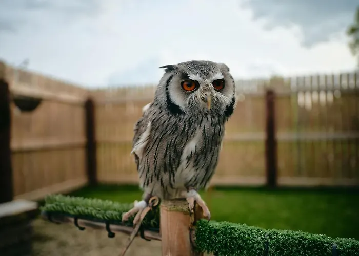 Lyrath Estate 5* Килкенни