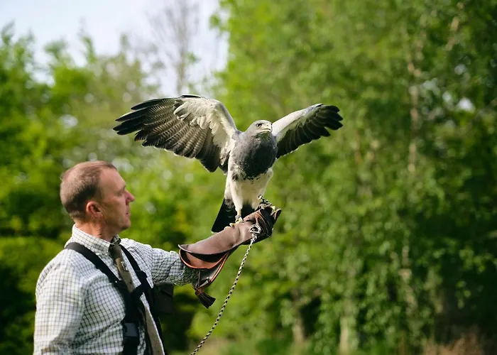 Lyrath Estate Килкенни