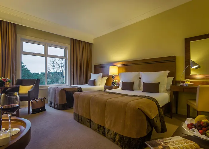 Lyrath Estate Килкенни